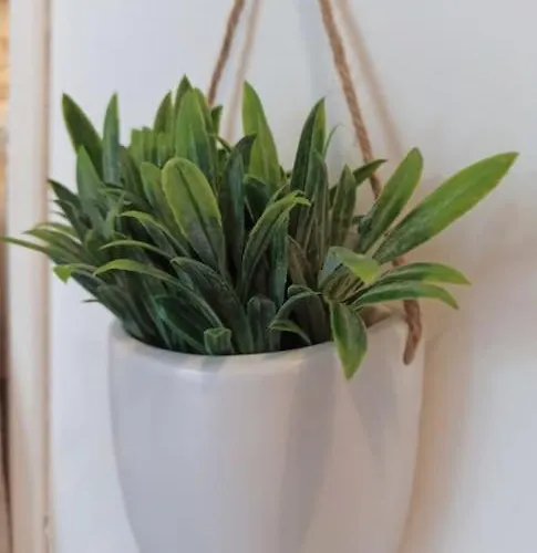 Le Charmant, Calme, Et Climatisé ! * Nimes